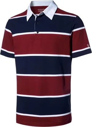 Men's Polo Shirts Long Sleeve Striped Dry Fit Casual Collared Pique Golf Polo Shirts for Mens